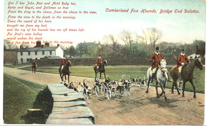 Fox hounds at Bridge End