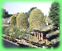 nursery view 28kb