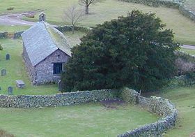 Yew tree at St Martin's church