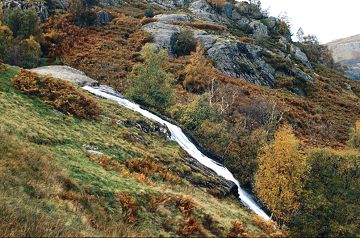 Scalehow Force