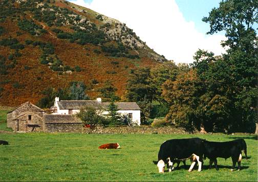 Mungrisedale Farm